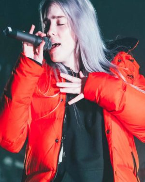 Billie Eilish Orange Puffer Hooded Jacket
