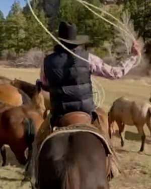 Stephen Yellowtail Ultimate Cowboy Showdown Season 3 Puffer Vest